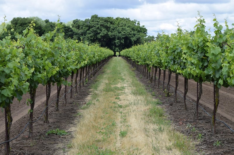 Lakeside Winery Venue